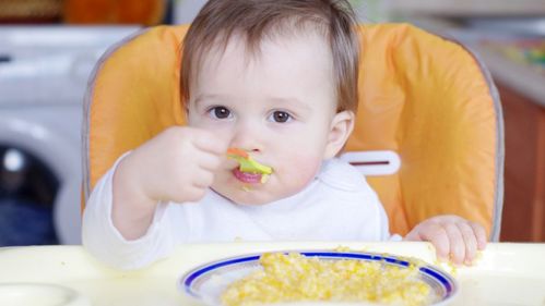 宝宝增强免疫力食物