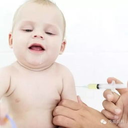 宝宝疫苗接种禁忌症和注意事项