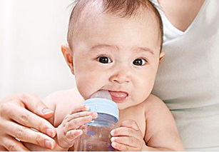 婴儿奶瓶消毒多长时间