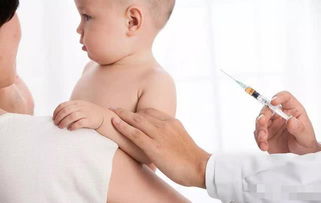 宝宝接种疫苗前后禁忌