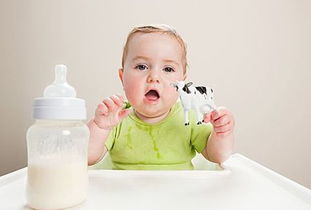婴儿的食品容器怎么消毒