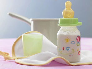 宝宝奶瓶消毒用什么好