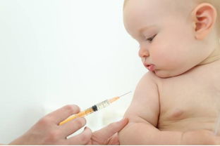 宝宝接种疫苗前后注意事项